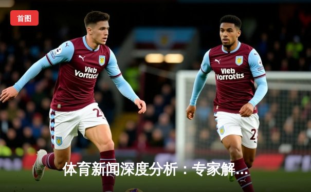 体育新闻深度分析：专家解读